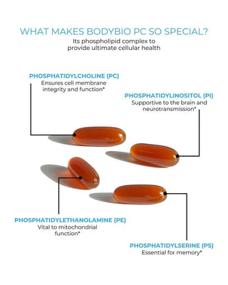BodyBio | PC