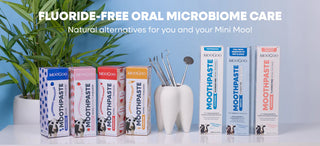 MooGoo | Watermelon & Mint Moothpaste Fluoride Free