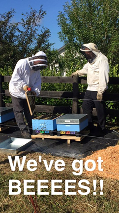 We've got bees, and we have to help them
