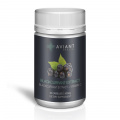 [CLEARANCE] Aviant Blackcurrant Extract 